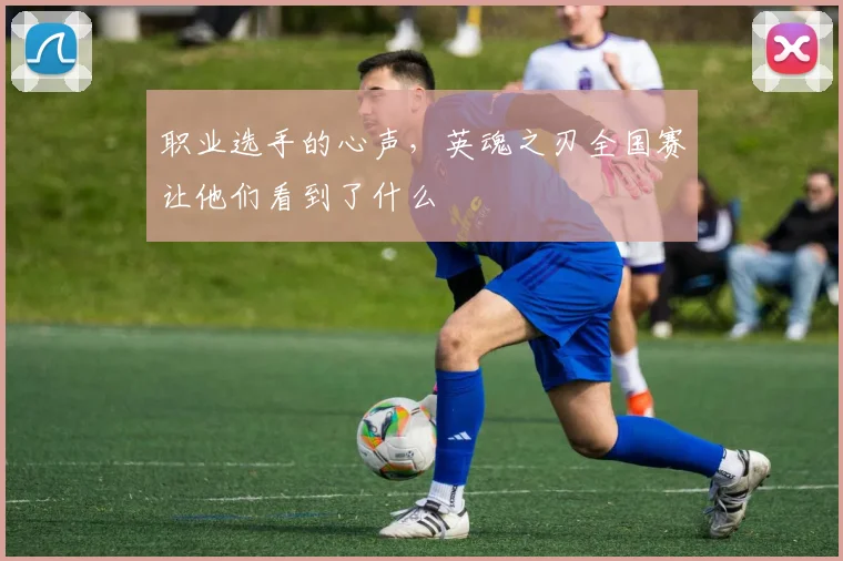 职业选手的心声,英魂之刃全国赛让他们看到了什么