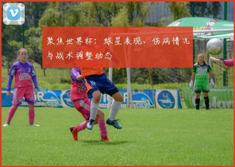 聚焦世界杯:球星表现、伤病情况与战术调整动态